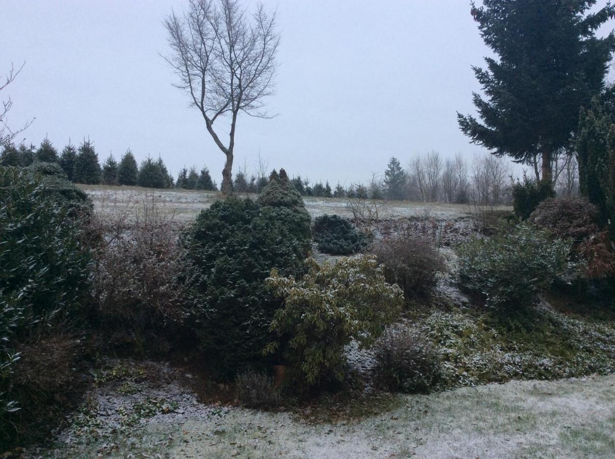Chambre En Ardenne Graide Zewnętrze zdjęcie